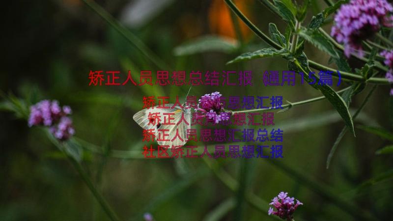 矫正人员思想总结汇报（通用15篇）