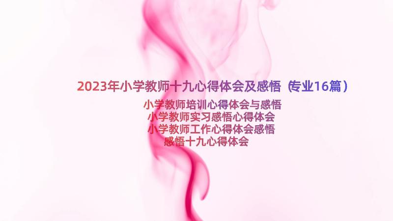 2023年小学教师十九心得体会及感悟（专业16篇）