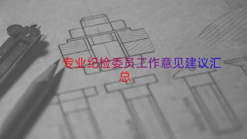 专业纪检委员工作意见建议（汇总19篇）