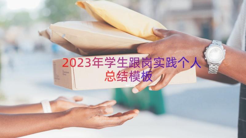 2023年学生跟岗实践个人总结（模板16篇）