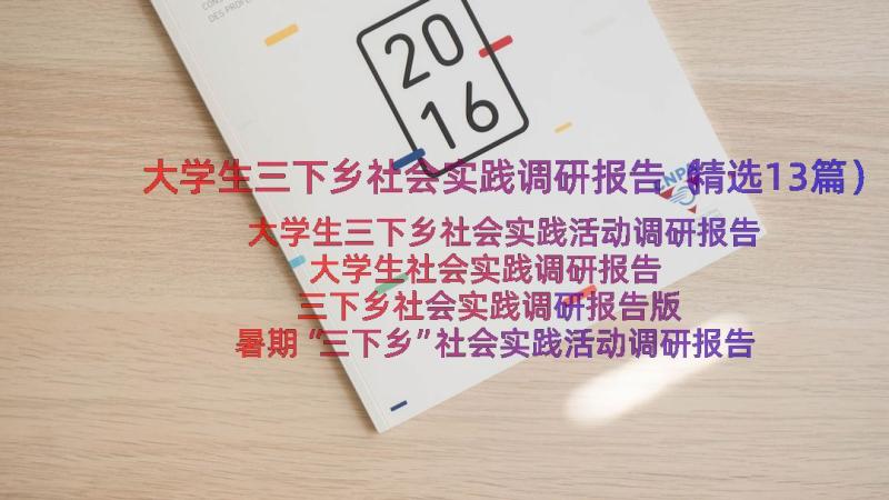 大学生三下乡社会实践调研报告（精选13篇）