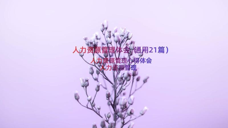 人力资源管理体会（通用21篇）