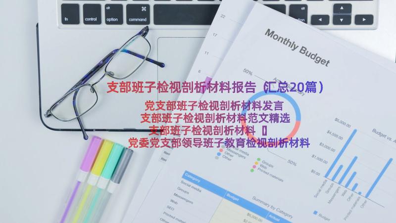 支部班子检视剖析材料报告（汇总20篇）