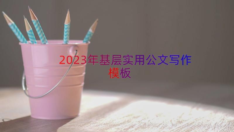 2023年基层实用公文写作（模板14篇）