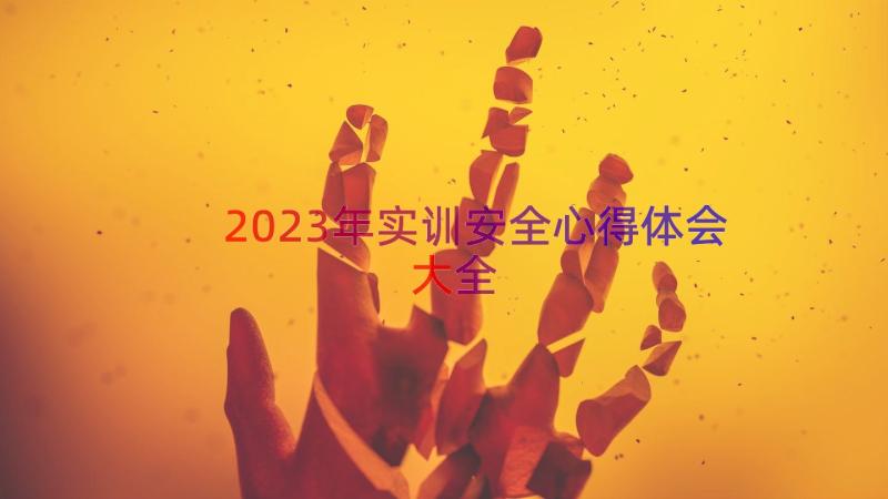 2023年实训安全心得体会大全（15篇）