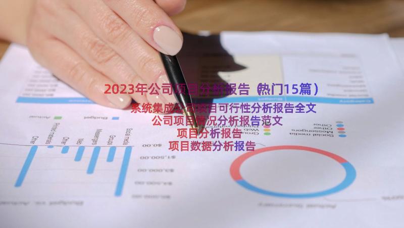 2023年公司项目分析报告（热门15篇）