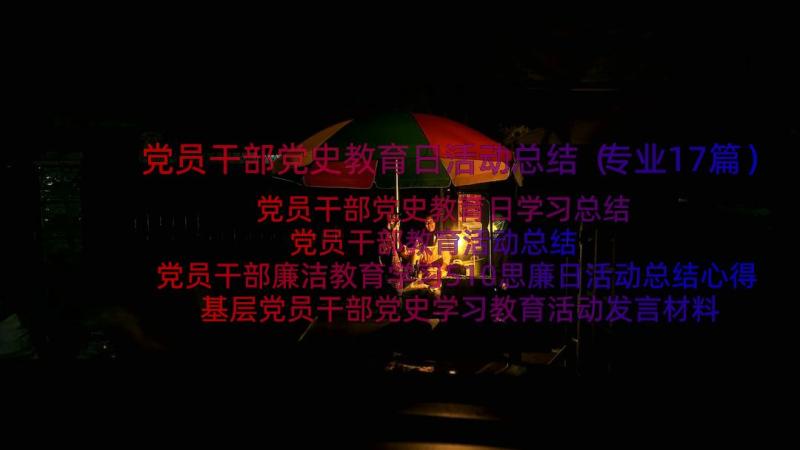 党员干部党史教育日活动总结（专业17篇）