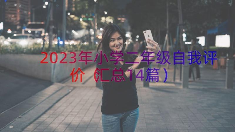 2023年小学二年级自我评价（汇总14篇）