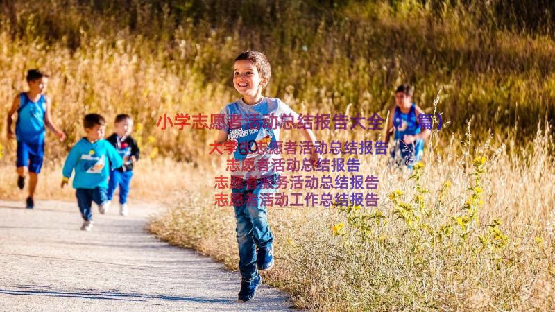 小学志愿者活动总结报告大全（15篇）