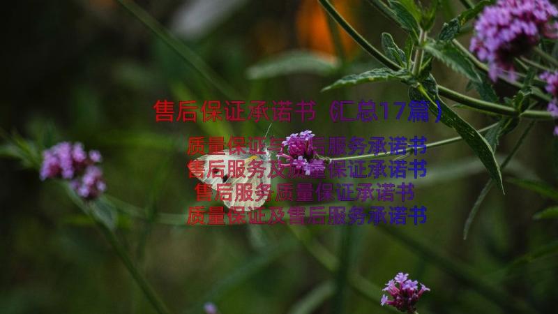 售后保证承诺书（汇总17篇）