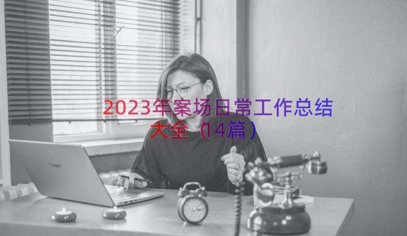 2023年案场日常工作总结大全（14篇）