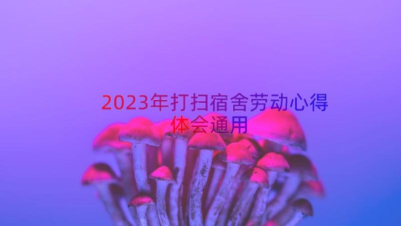 2023年打扫宿舍劳动心得体会（通用15篇）