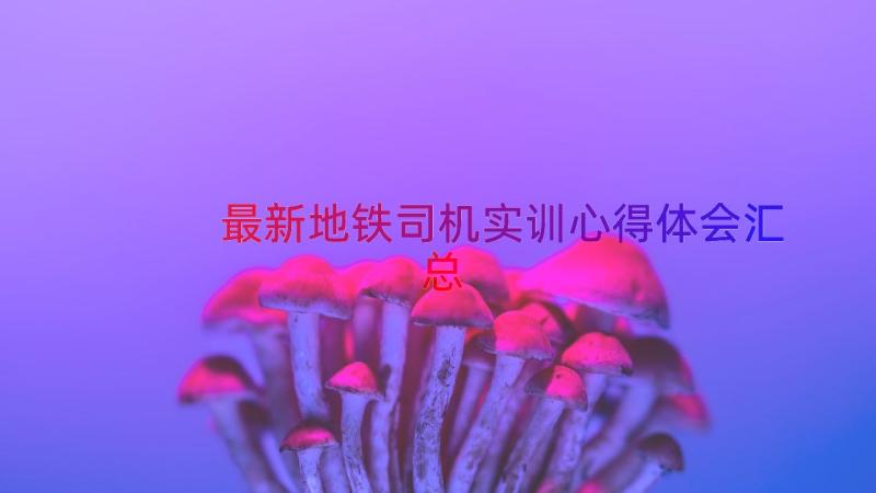 最新地铁司机实训心得体会（汇总17篇）