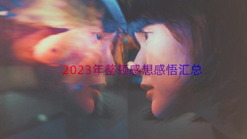 2023年整顿感想感悟（汇总19篇）