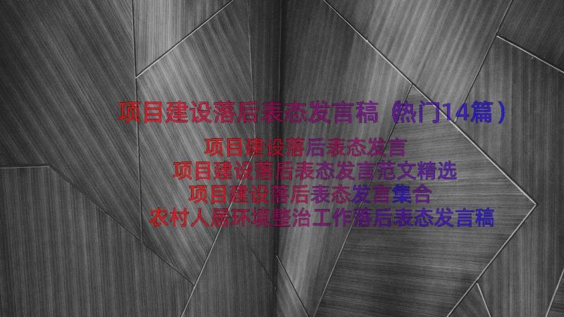 项目建设落后表态发言稿（热门14篇）