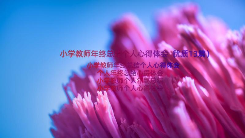 小学教师年终总结个人心得体会（优质13篇）