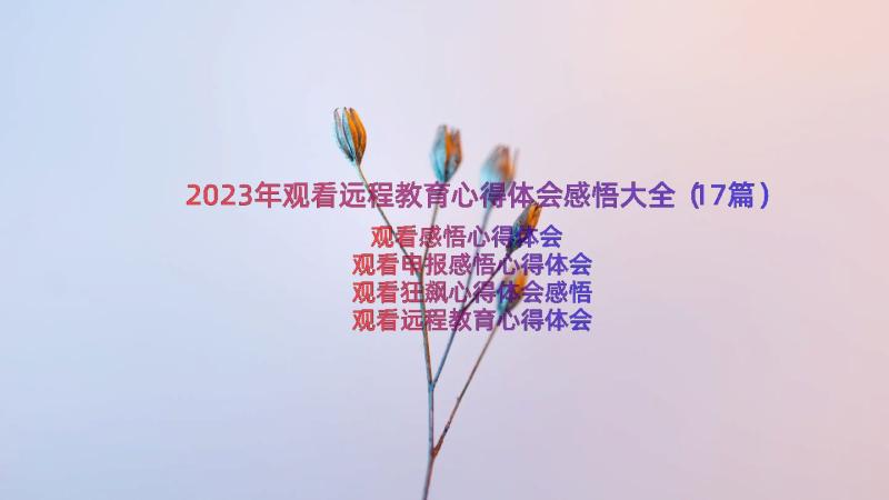 2023年观看远程教育心得体会感悟大全（17篇）