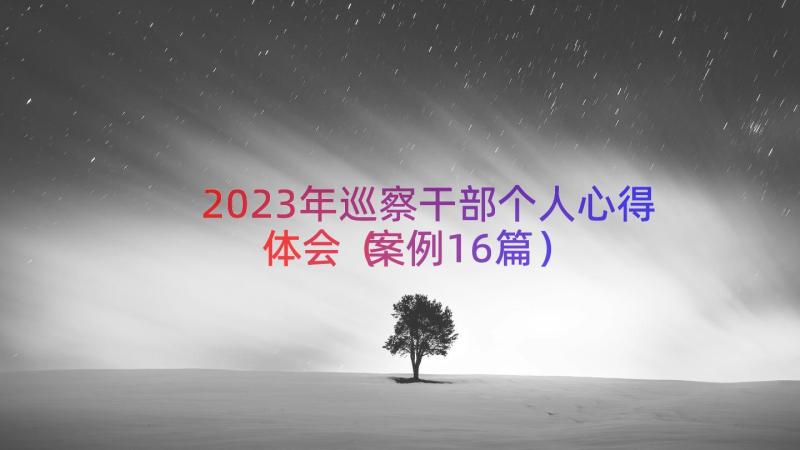 2023年巡察干部个人心得体会（案例16篇）