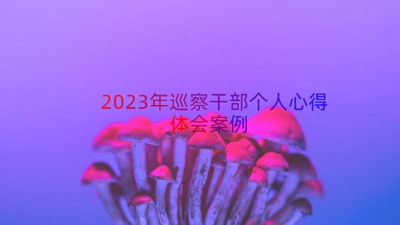 2023年巡察干部个人心得体会（案例15篇）