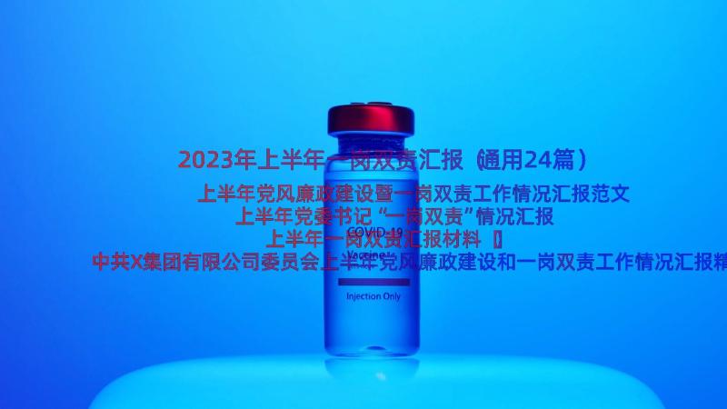 2023年上半年一岗双责汇报（通用24篇）