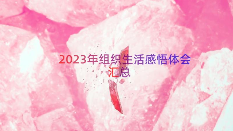 2023年组织生活感悟体会（汇总13篇）