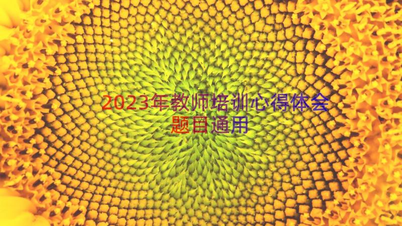 2023年教师培训心得体会题目（通用16篇）