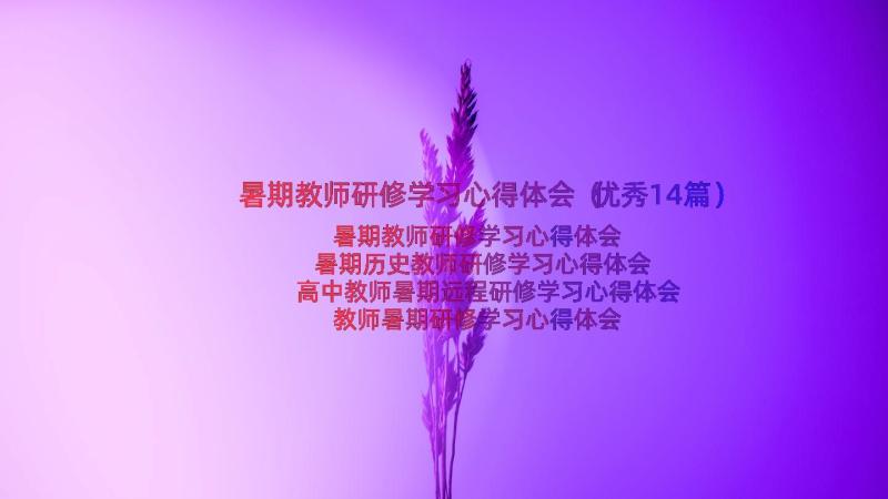 暑期教师研修学习心得体会（优秀14篇）