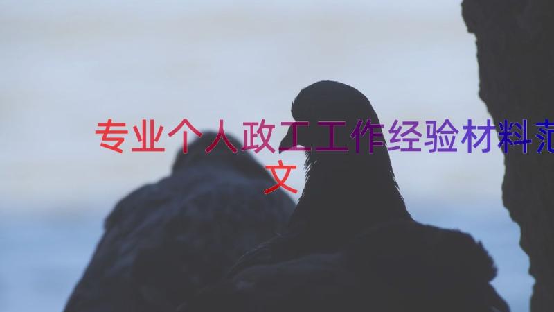 专业个人政工工作经验材料范文（14篇）