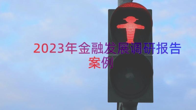 2023年金融发展调研报告（案例13篇）