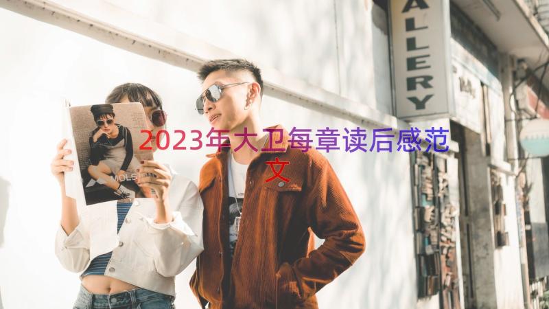 2023年大卫每章读后感范文（15篇）