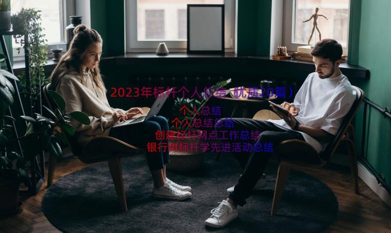 2023年标杆个人总结（优质20篇）