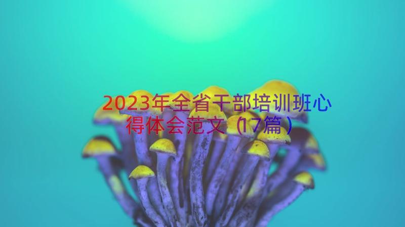 2023年全省干部培训班心得体会范文（17篇）