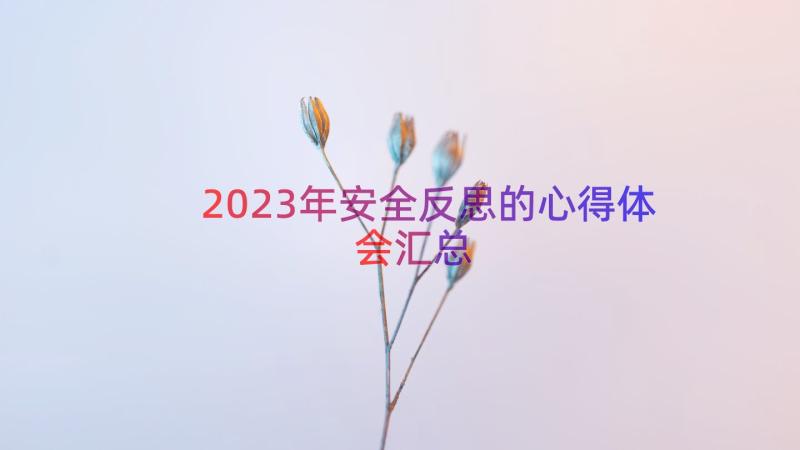 2023年安全反思的心得体会（汇总18篇）