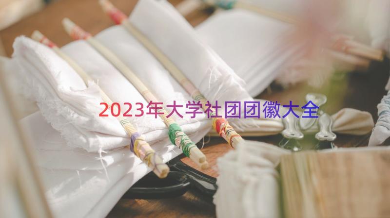 2023年大学社团团徽大全（14篇）