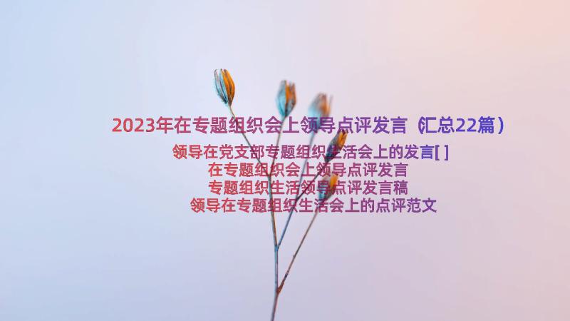 2023年在专题组织会上领导点评发言（汇总22篇）