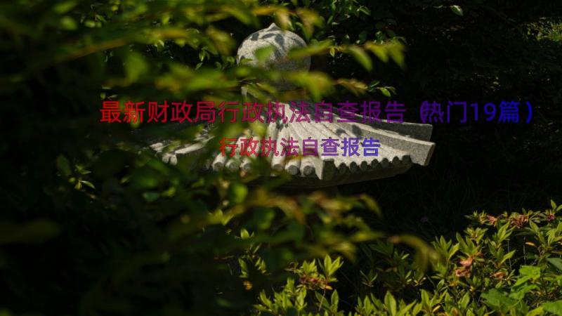 最新财政局行政执法自查报告（热门19篇）