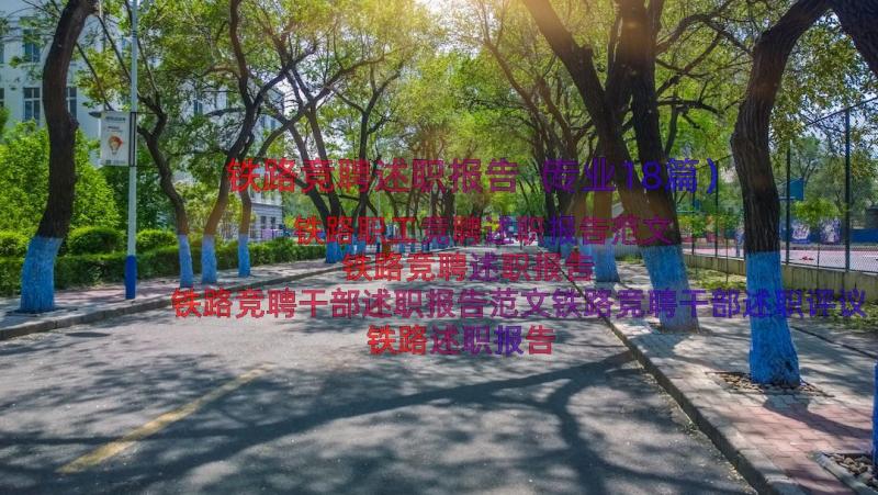 铁路竞聘述职报告（专业18篇）