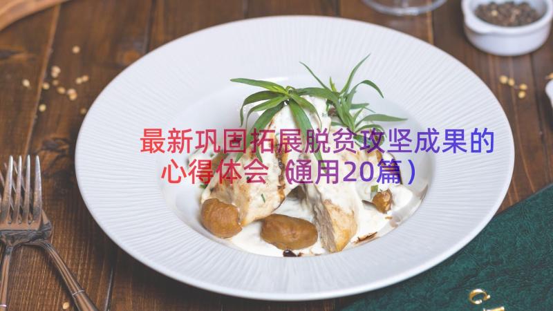 最新巩固拓展脱贫攻坚成果的心得体会（通用20篇）