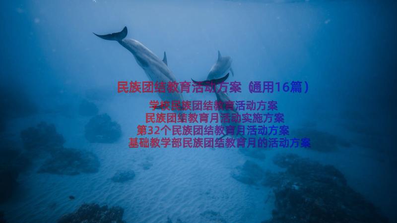 民族团结教育活动方案（通用16篇）