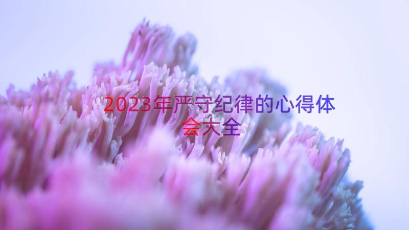 2023年严守纪律的心得体会大全（20篇）