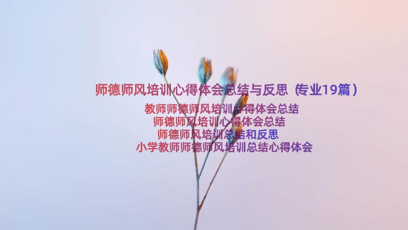 师德师风培训心得体会总结与反思（专业19篇）