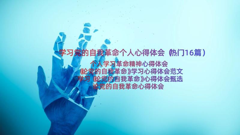 学习党的自我革命个人心得体会（热门16篇）