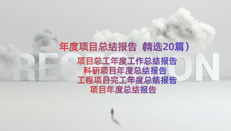 年度项目总结报告（精选20篇）