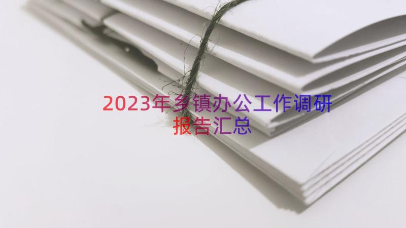 2023年乡镇办公工作调研报告（汇总12篇）