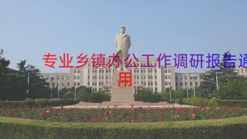 专业乡镇办公工作调研报告（通用16篇）