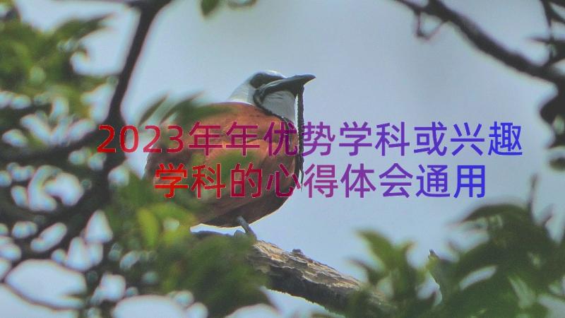 2023年年优势学科或兴趣学科的心得体会（通用13篇）