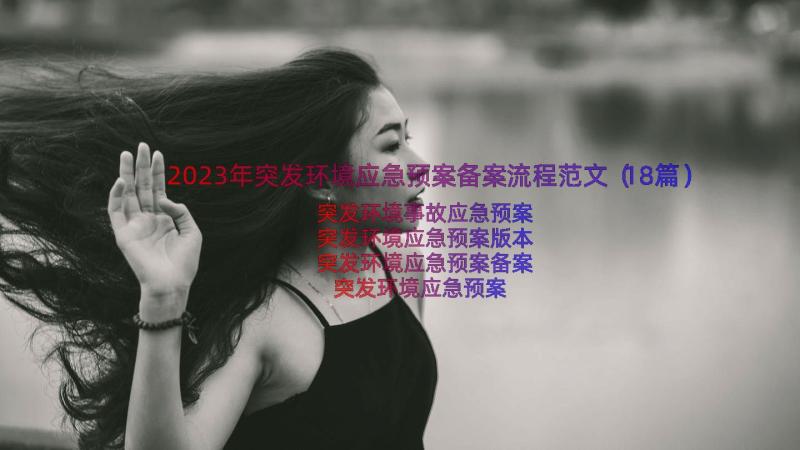 2023年突发环境应急预案备案流程范文（18篇）