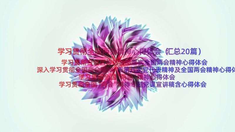 学习贯彻全国两会精神心得体会（汇总20篇）