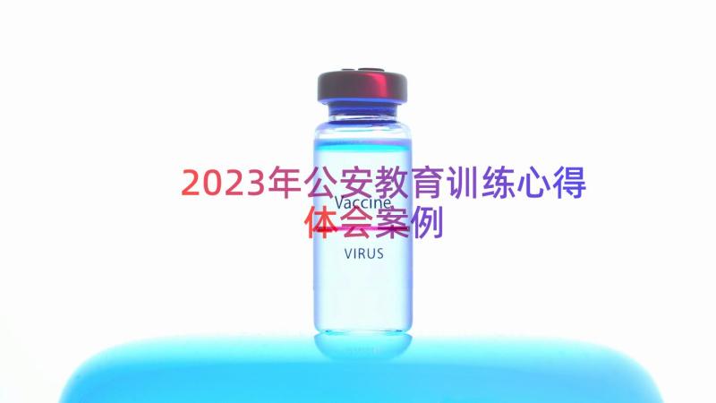 2023年公安教育训练心得体会（案例17篇）