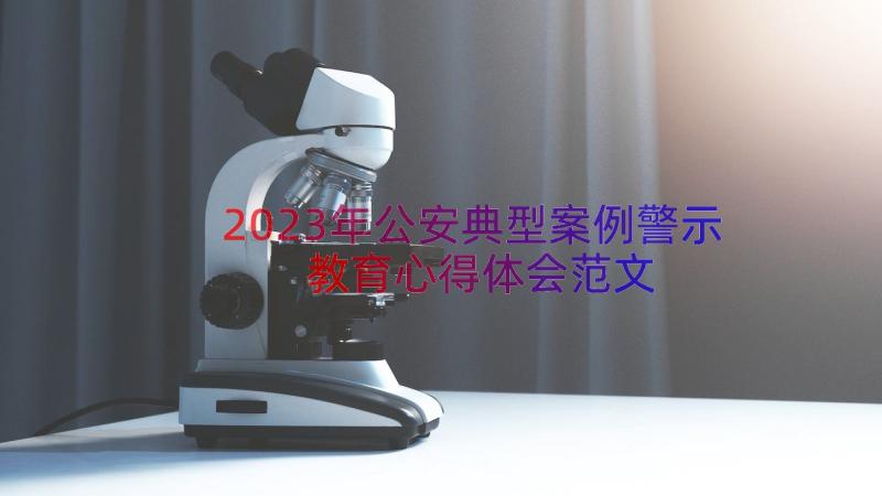 2023年公安典型案例警示教育心得体会范文（19篇）